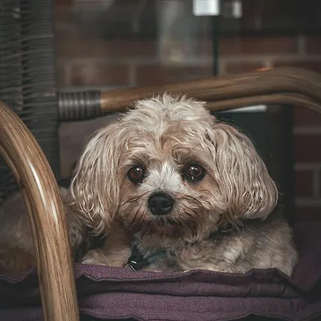 Hotel Restaurant Hillmers Hoff 3*