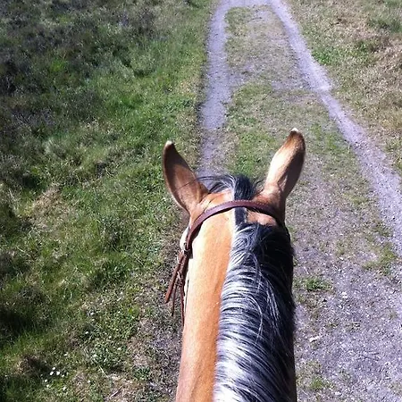 Restaurant Hillmers Hoff